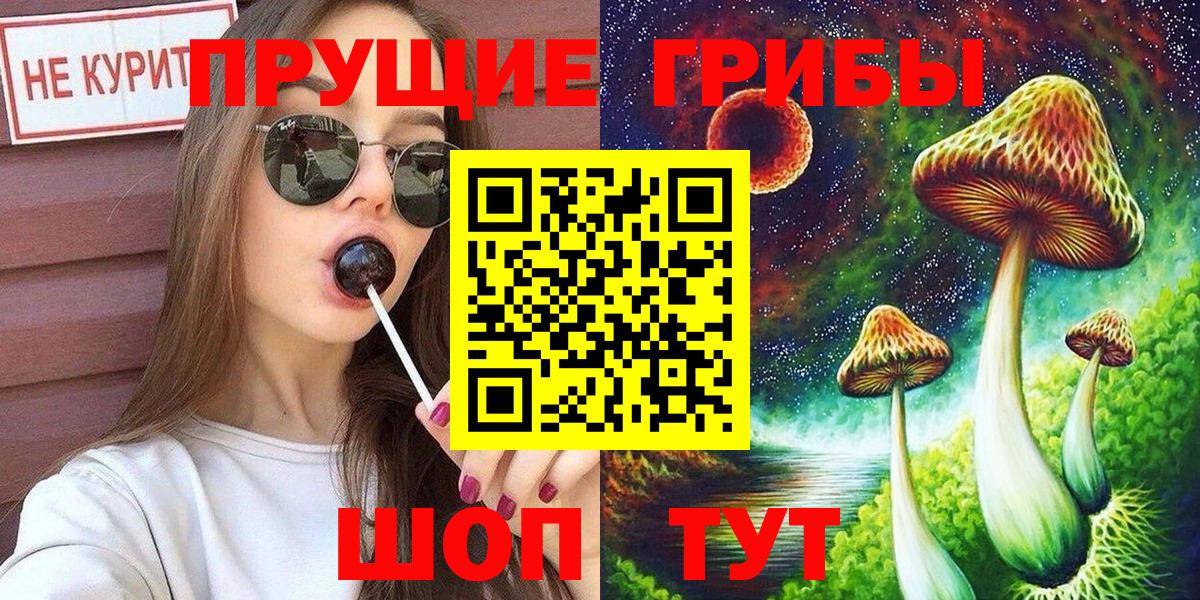 Псилоцибиновые грибы мицелий  Вход с VPN  Каменск-Шахтинский 